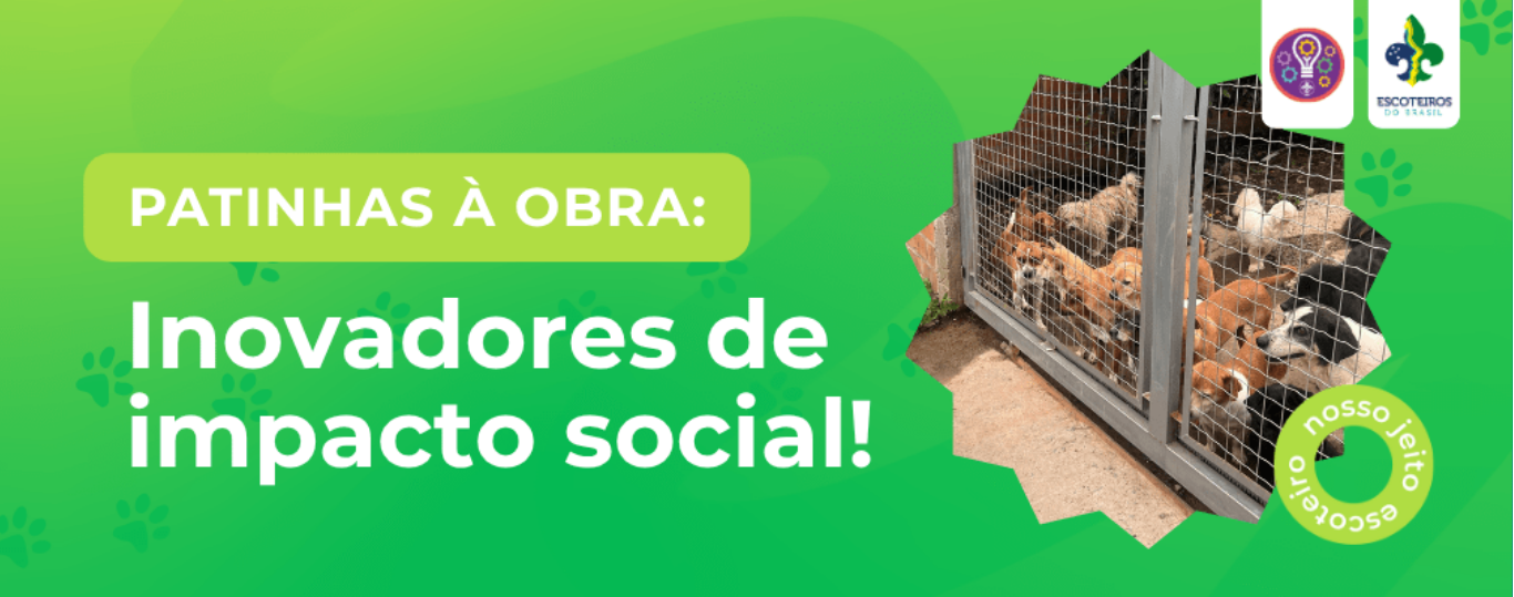 Patinhas à Obra: inovadores de impacto social! 
