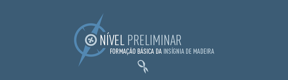 Nível Preliminar